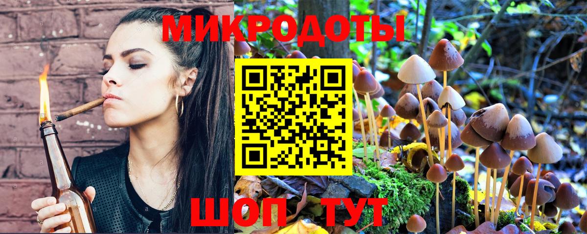 Камышин  купить   Вход с VPN  Галлюциногенные грибы мицелий 